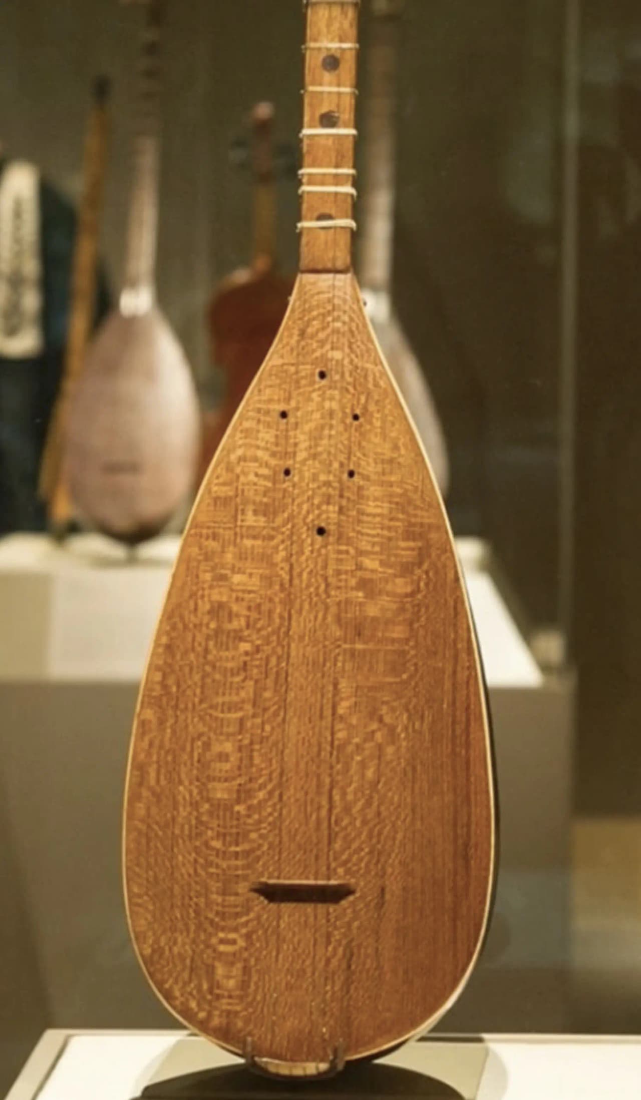 Die sakrale Laute: Die Kunst von Ostad Elahi
